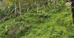 Land 14,3 Ara – Tegalalang Ubud Gianyar