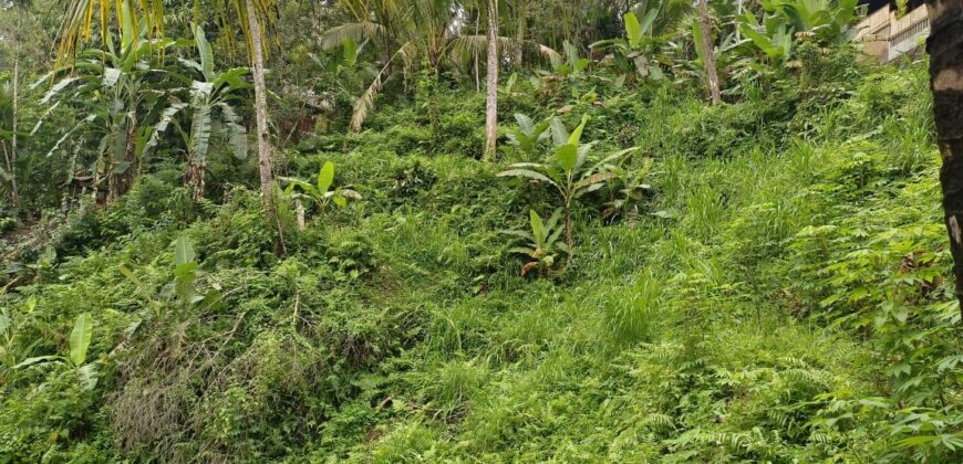 Land 14,3 Ara – Tegalalang Ubud Gianyar