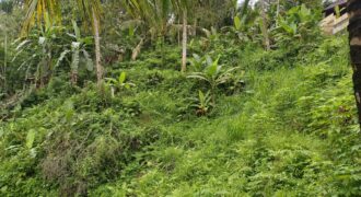 Land 14,3 Ara – Tegalalang Ubud Gianyar