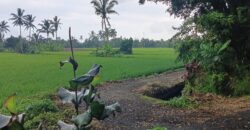 Land 1,18 Hectare at Tabanan