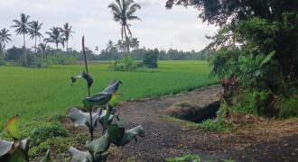 Land 1,18 Hectare at Tabanan