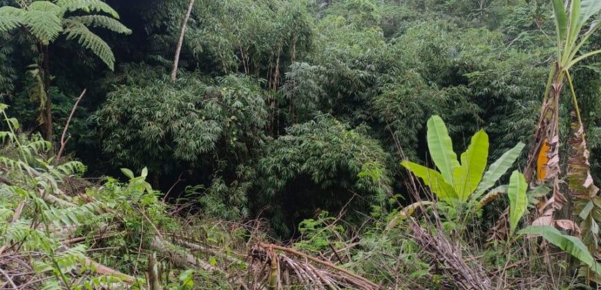 Land 83 Ara Tegalalang Ubud Gianyar