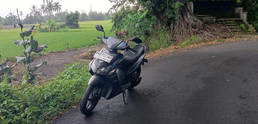 Land 1,18 Hectare at Tabanan