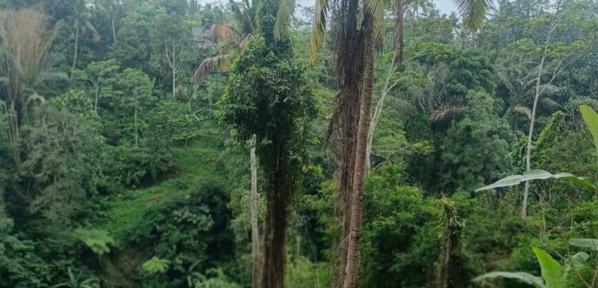 Land 83 Ara Tegalalang Ubud Gianyar