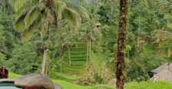 Villa Dara Ayu 1,5 Hectare at Payangan