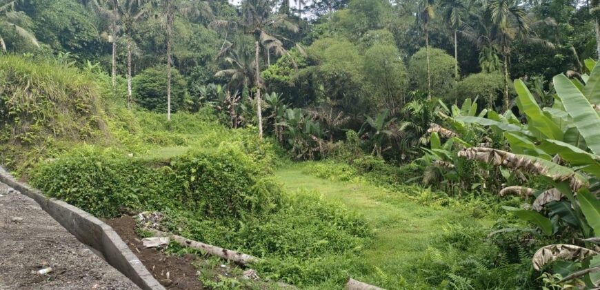 Land 22 Ara at Ubud
