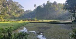Land 125 Ara at Ubud