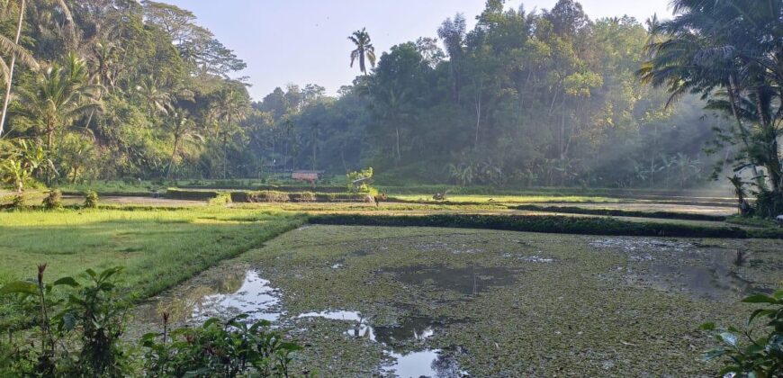 Land 125 Ara at Ubud