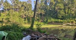 Land 125 Ara at Ubud