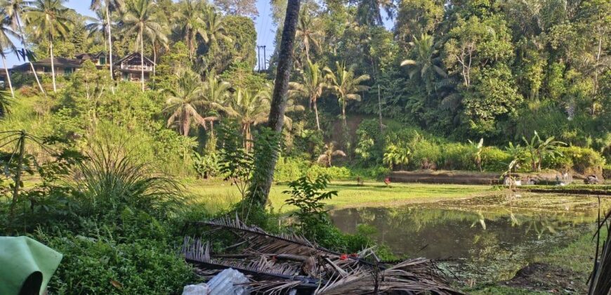 Land 125 Ara at Ubud