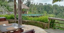 Villa Dara Ayu 1,5 Hectare at Payangan