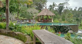 Villa Dara Ayu 1,5 Hectare at Payangan