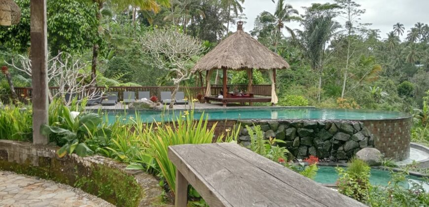 Villa Dara Ayu 1,5 Hectare at Payangan