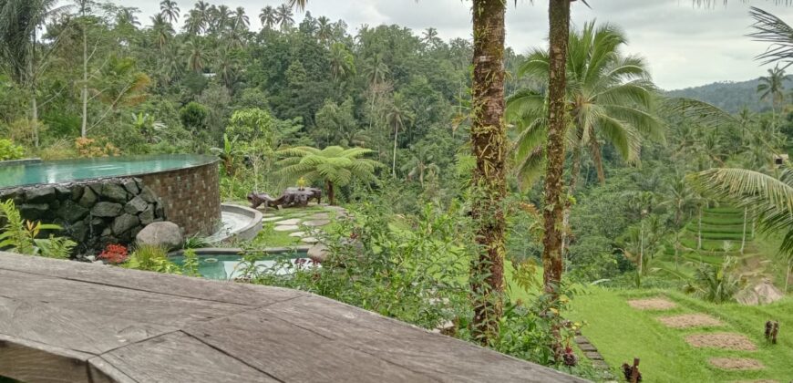 Villa Dara Ayu 1,5 Hectare at Payangan