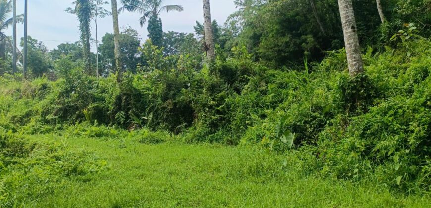 Land 22 Ara at Ubud
