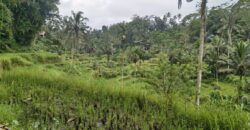 Land 125 Ara at Ubud